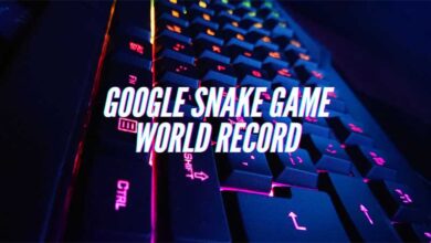 google snake game world record
